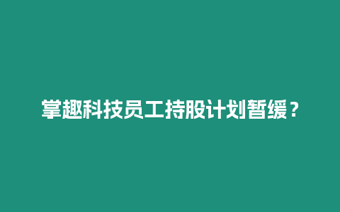 掌趣科技員工持股計劃暫緩？