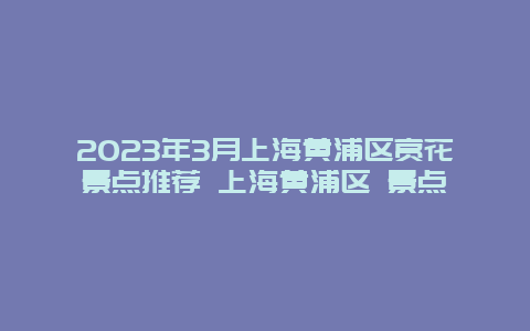 2024年3月上海黃浦區(qū)賞花景點(diǎn)推薦 上海黃浦區(qū) 景點(diǎn)