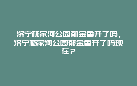濟寧楊家河公園郁金香開了嗎，濟寧楊家河公園郁金香開了嗎現在？