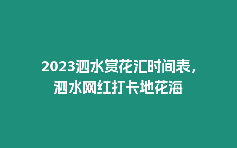 2023泗水賞花匯時(shí)間表，泗水網(wǎng)紅打卡地花海