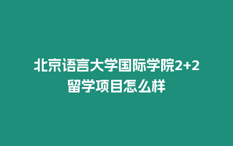 北京語言大學國際學院2+2留學項目怎么樣