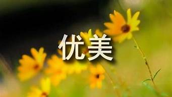 春優(yōu)美句子85條？