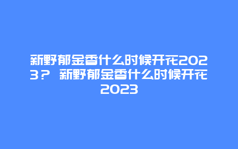 新野郁金香什么時(shí)候開(kāi)花2024？ 新野郁金香什么時(shí)候開(kāi)花2024