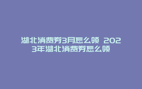 湖北消費(fèi)券3月怎么領(lǐng) 2024年湖北消費(fèi)券怎么領(lǐng)