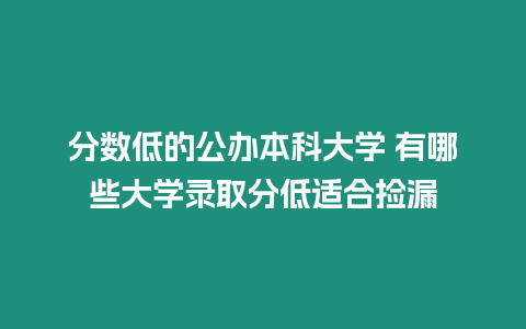 分?jǐn)?shù)低的公辦本科大學(xué) 有哪些大學(xué)錄取分低適合撿漏