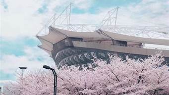 2024虹口足球場櫻TO生活節開幕 虹口足球場 櫻花節
