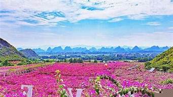 怎么買桂林花海景區門票 怎么買桂林花海景區門票便宜