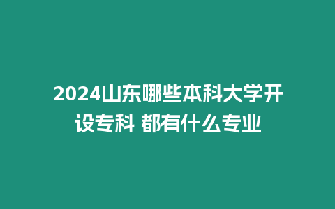 2024山東哪些本科大學開設專科 都有什么專業