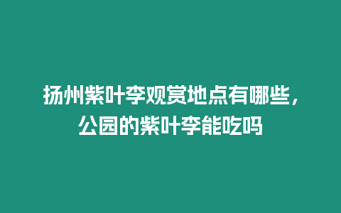 揚州紫葉李觀賞地點有哪些，公園的紫葉李能吃嗎
