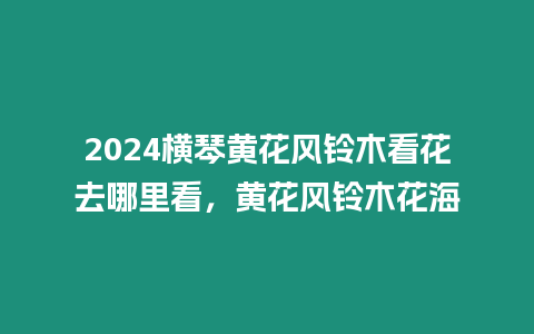 2024橫琴黃花風(fēng)鈴木看花去哪里看，黃花風(fēng)鈴木花海