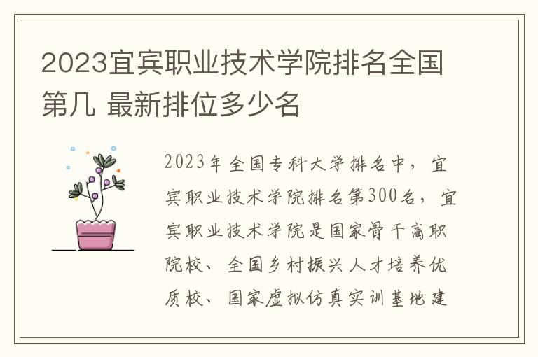 2024宜賓職業(yè)技術(shù)學院排名全國第幾 最新排位多少名