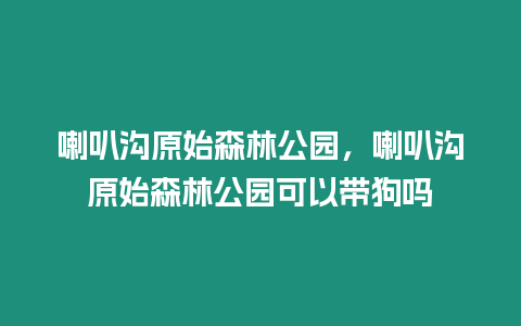 喇叭溝原始森林公園,喇叭溝原始森林公園可以帶狗嗎縮略圖 喇叭溝原始森林公園,喇叭溝原始森林公園可以帶狗嗎