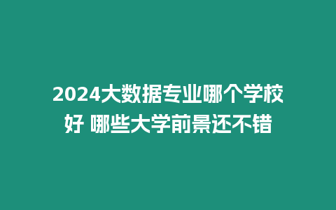2024大數(shù)據(jù)專業(yè)哪個學(xué)校好 哪些大學(xué)前景還不錯