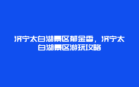 濟寧太白湖景區郁金香，濟寧太白湖景區游玩攻略