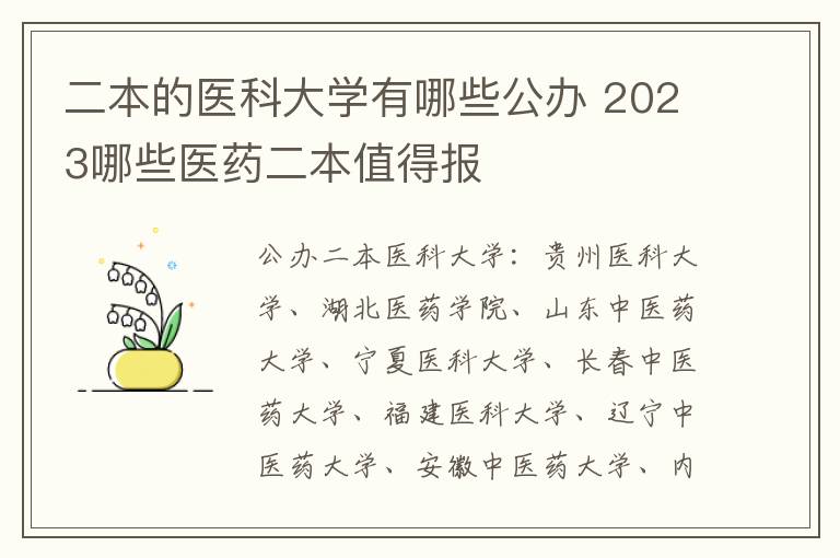 二本的醫(yī)科大學(xué)有哪些公辦 2024哪些醫(yī)藥二本值得報