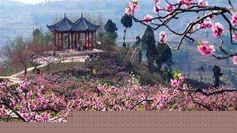 成都龍泉驛桃花開了嗎2024 2024年龍泉驛的桃花開沒有