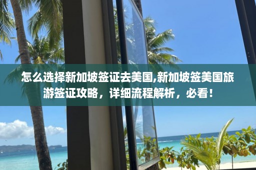 怎么選擇新加坡簽證去美國,新加坡簽美國旅游簽證攻略，詳細流程解析，必看！