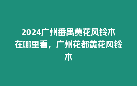 2024廣州番禺黃花風(fēng)鈴木在哪里看，廣州花都黃花風(fēng)鈴木