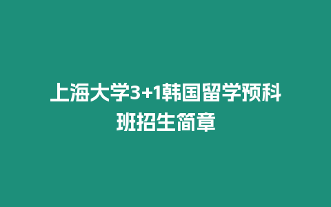 上海大學3+1韓國留學預科班招生簡章
