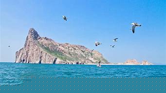 長島海鳥旅游攻略，煙臺長島旅游攻略？