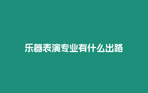 樂器表演專業(yè)有什么出路