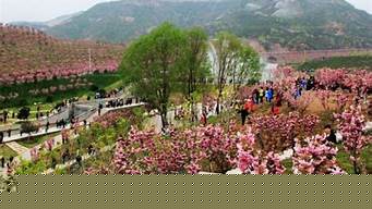 太原玉泉山公園櫻花幾月開(kāi)？ 太原玉泉山公園櫻花幾月開(kāi)放