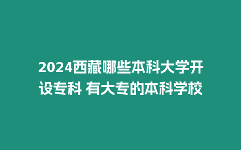 2024西藏哪些本科大學開設專科 有大專的本科學校