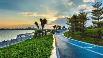 廈門馬鑾灣雙溪濕地公園最新消息（廈門杏林區馬鑾灣濕地公園）
