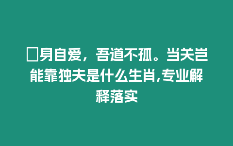 潔身自愛，吾道不孤。當關豈能靠獨夫是什么生肖,專業解釋落實