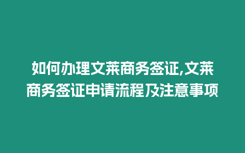 如何辦理文萊商務(wù)簽證,文萊商務(wù)簽證申請流程及注意事項
