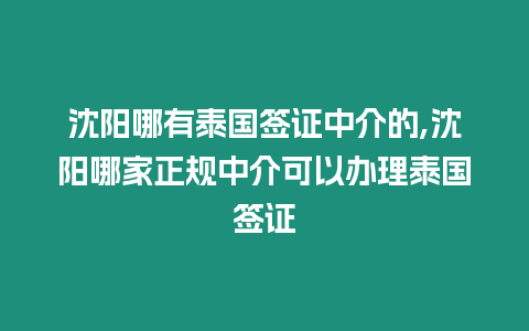 沈陽哪有泰國簽證中介的,沈陽哪家正規(guī)中介可以辦理泰國簽證