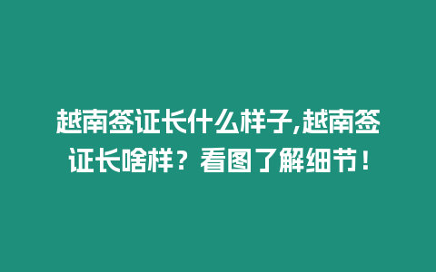 越南簽證長什么樣子,越南簽證長啥樣？看圖了解細節(jié)！