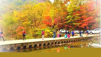 順德鳳城旅游攻略，丹東鳳城鳳凰山旅游攻略？