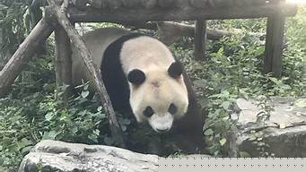 9be1370b02529ec2cd65ee704b4a69e4.jpg