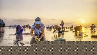東臺趕海攻略旅游，廈門旅游趕海攻略？