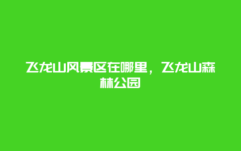 飛龍山風景區在哪里，飛龍山森林公園
