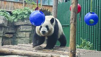 北京動物園萌蘭在哪個館 北京動物園萌寶萌玉