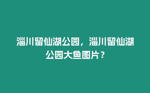 淄川留仙湖公園，淄川留仙湖公園大魚圖片？