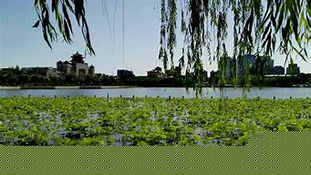 五大蓮池旅游攻略（四大蓮池是哪里的著名景點）
