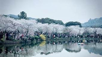 2024東湖櫻花園門票需要身份證嗎（東湖櫻花園要錢嗎）
