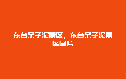 東臺條子泥景區，東臺條子泥景區圖片