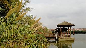 廣州濕地公園景點介紹 廣州濕地公園景點介紹南沙