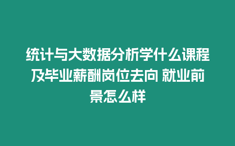 統(tǒng)計與大數(shù)據(jù)分析學什么課程及畢業(yè)薪酬崗位去向 就業(yè)前景怎么樣