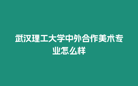 武漢理工大學中外合作美術專業怎么樣