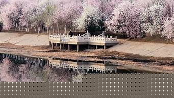 天津桃花堤旅游攻略 天津桃花堤內(nèi)景點(diǎn)
