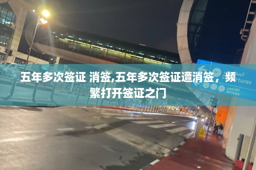 五年多次簽證 消簽,五年多次簽證遭消簽，頻繁打開簽證之門