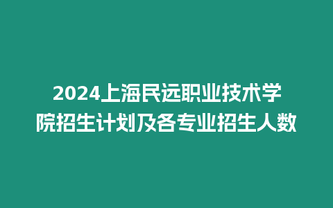 2024上海民遠職業(yè)技術(shù)學院招生計劃及各專業(yè)招生人數(shù)