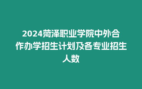 2024菏澤職業學院中外合作辦學招生計劃及各專業招生人數