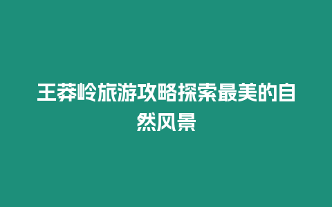 王莽嶺旅游攻略探索最美的自然風景