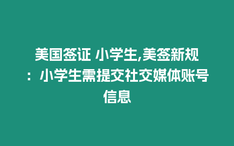 美國簽證 小學(xué)生,美簽新規(guī)：小學(xué)生需提交社交媒體賬號信息